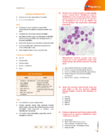 TUS | Dahiliye Sorularla Son Tekrar Kitabı - Görsel 5