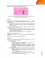 Temel ve Oral Patoloji Konu Kitabı - Görsel 2