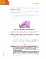 Temel ve Oral Patoloji Konu Kitabı - Görsel 7