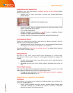 Temel ve Oral Patoloji Konu Kitabı - Görsel 4