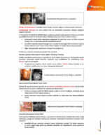 Temel ve Oral Patoloji Konu Kitabı - Görsel 3