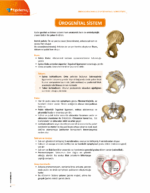 TUS | Kadın Doğum – Konu Kitabı - Görsel 3