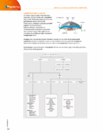 TUS | Kadın Doğum – Konu Kitabı - Görsel 9
