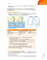 TUS | Kadın Doğum – Konu Kitabı - Görsel 10