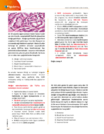 TUS | Patoloji Sorularla Son Tekrar Kitabı - Görsel 4