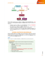 TUS | Temel ve Klinik Patoloji – Konu Kitabı - Görsel 2