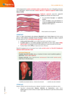 TUS | Temel ve Klinik Patoloji – Konu Kitabı - Görsel 6