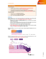TUS | Temel ve Klinik Patoloji – Konu Kitabı - Görsel 5