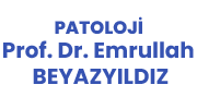 Prof. Dr. Emrullah BEYAZYILDIZ