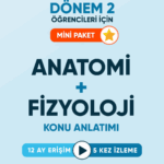 Dönem 2 Anatomi + Fizyoloji