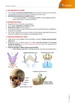DUS | Ortodonti Premium Plus Paket - Görsel 14