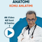 Anatomi Konu Anlatım Videoları (3 ay - 3 kez izleme)