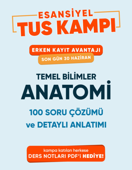 Anatomi Esansiyel Tus Kampı Tek Ders (3 ay - 3 Kez İzleme)