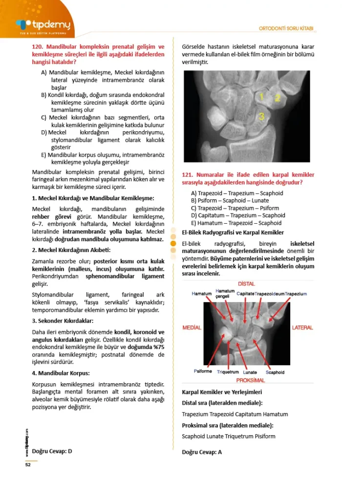 Dus Ortodonti Soru Kitabı - Görsel 2