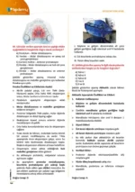 Dus Ortodonti Soru Kitabı - Görsel 5