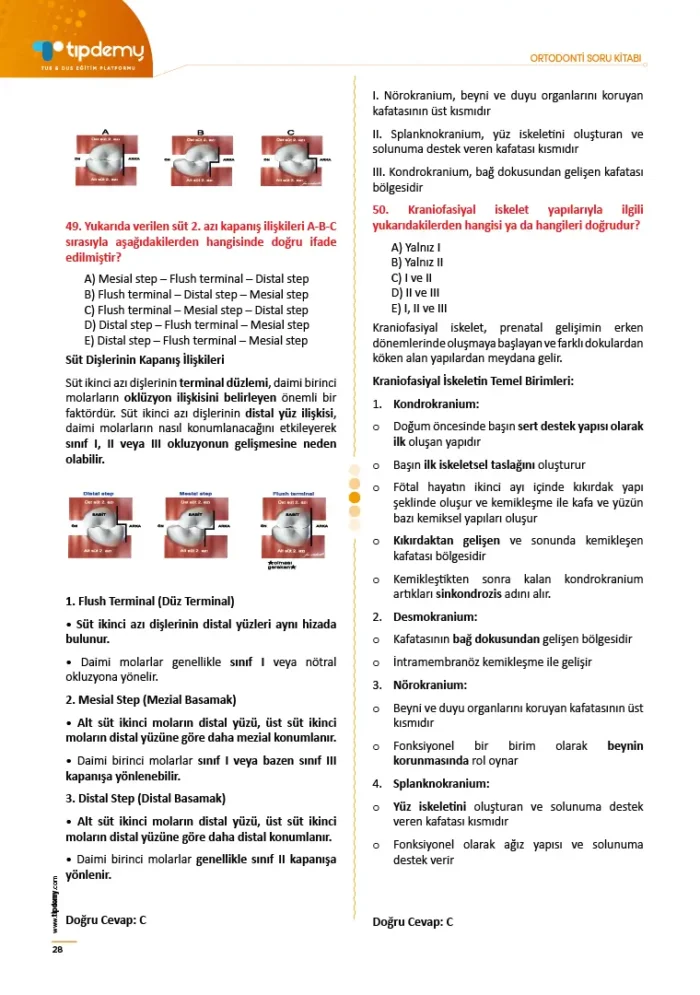 Dus Ortodonti Soru Kitabı - Görsel 9