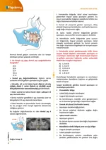 Dus Ortodonti Soru Kitabı - Görsel 10