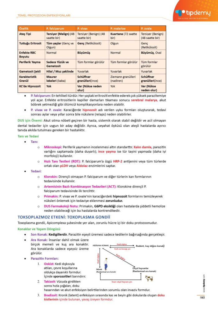 Dus Mikrobiyoloji Konu Kitabı - Görsel 5