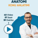 DUS | Anatomi – Konu Anlatım Videoları (3 Ay / 3 İzleme)