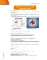 DUS | Ağız Diş ve Çene Radyolojisi – Konu Kitabı - Görsel 2