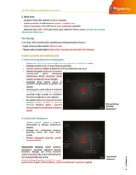 DUS | Ağız Diş ve Çene Radyolojisi – Konu Kitabı - Görsel 3
