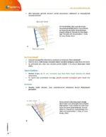 DUS | Ağız Diş ve Çene Radyolojisi – Konu Kitabı - Görsel 4