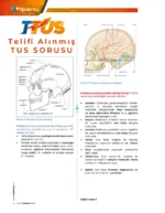 TTUS | Anatomi – Kitap - Görsel 3