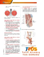 TTUS | Anatomi – Kitap - Görsel 4