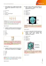 DUS | Protetik Diş Tedavisi – Soru Kitabı - Görsel 5