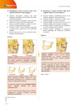 DUS | Protetik Diş Tedavisi – Soru Kitabı - Görsel 4