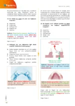 DUS | Protetik Diş Tedavisi – Soru Kitabı - Görsel 2
