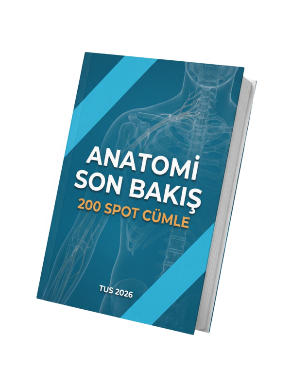 Anatomi Son Bakış PDF kapağı