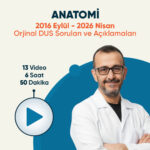 TDUS | Anatomi Video (3 Ay / 3 İzleme)